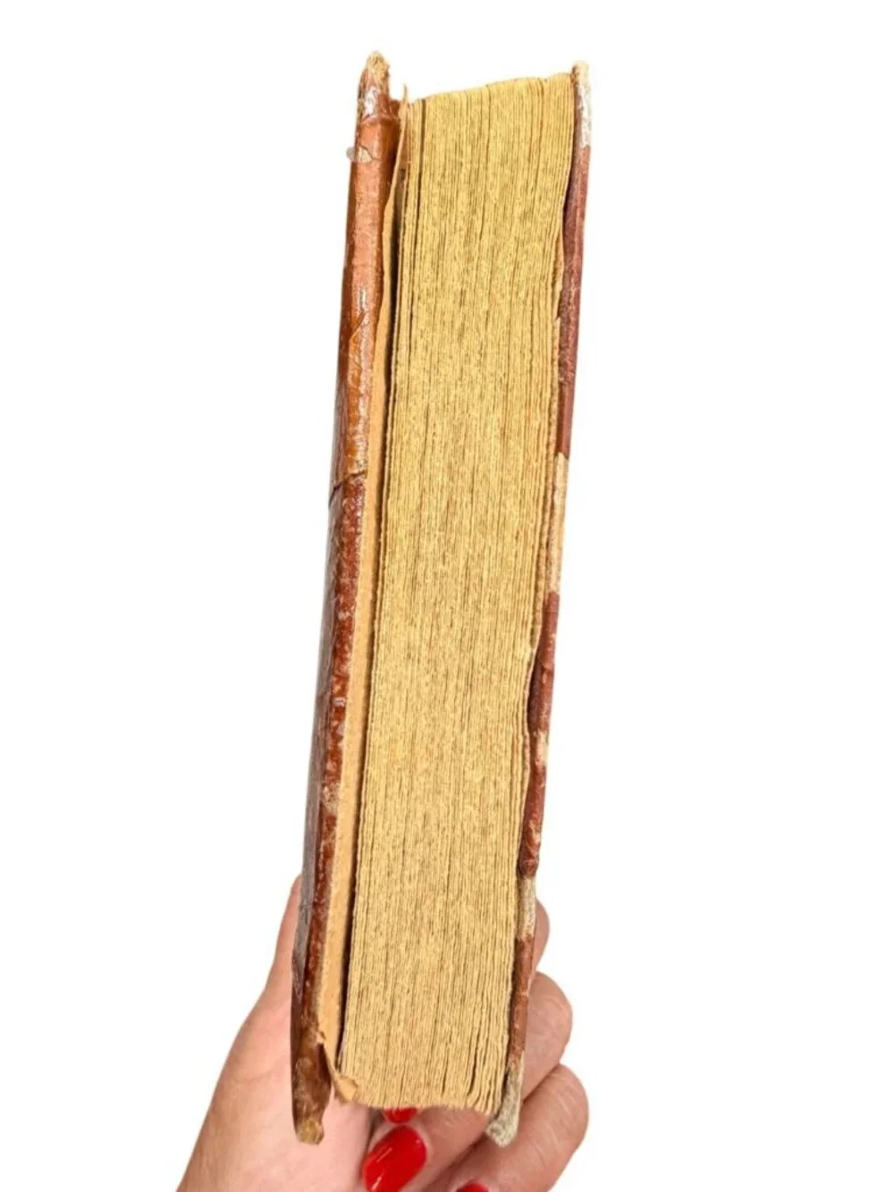 Handmade Natural Leaf Journal, Vintage Eco-Friendly Leather Look Scrapbook, Real
